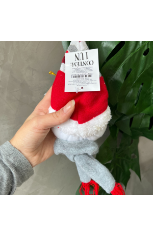 Boneco de Neve com Gorro