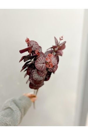 Buquê de Eucalipto Vinho - 50cm