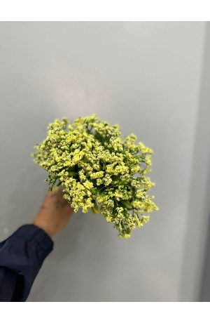 Pick Mosquitinho Amarelo - 23cm ( Artificial )