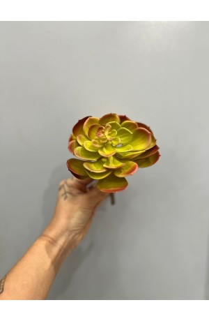 Suculenta Amarela c/ Vermelha - 17cm ( Artificial )