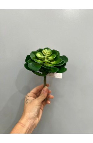 Suculenta Verde - 17cm ( Artificial )