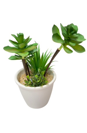 Vaso Branco Bonsai Grande Mod.1