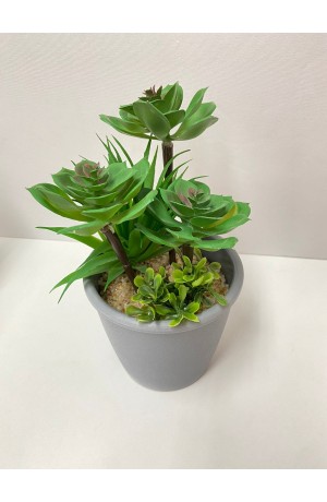 Vaso Cinza Bonsai Grande Mod. 1