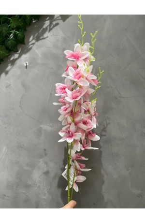 Haste de Orquidea Rosa