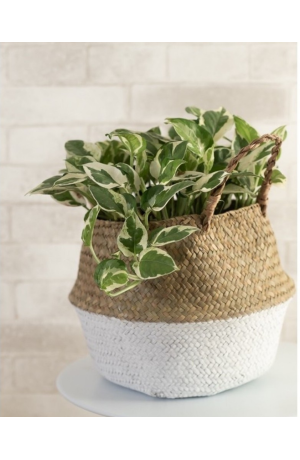 Cesto Seagrass Natural e Branco G