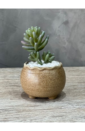 Vaso Areia com Suculenta Redondo Urban MOD.3