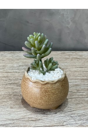 Vaso Areia com Suculenta Redondo Urban MOD.3