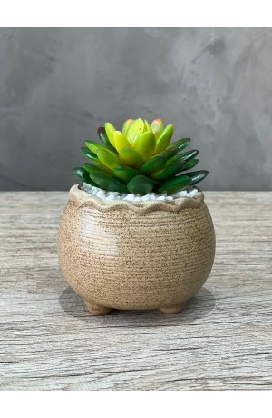 Vaso Areia com Suculenta Redondo Urban MOD.2